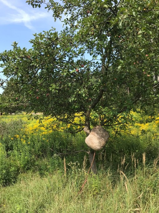 - 18 - Kam se hrabe Černobyl.jpg
